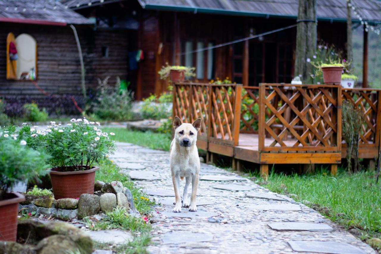 Homestay So 91-Suoi Ho Сапа Екстериор снимка