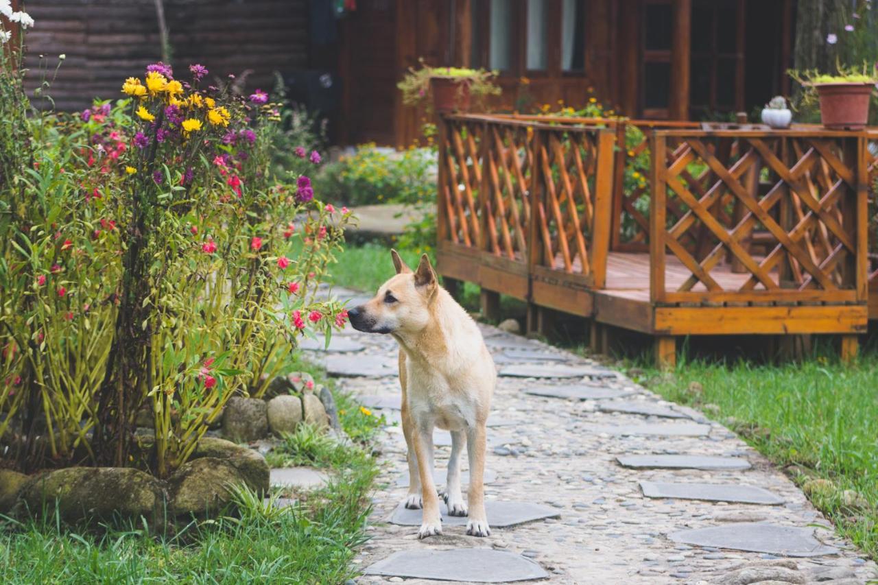 Homestay So 91-Suoi Ho Сапа Екстериор снимка